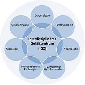 Organisation des IGZ